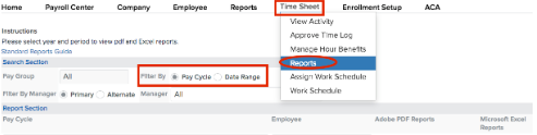 A screenshot of a report  Description automatically generated